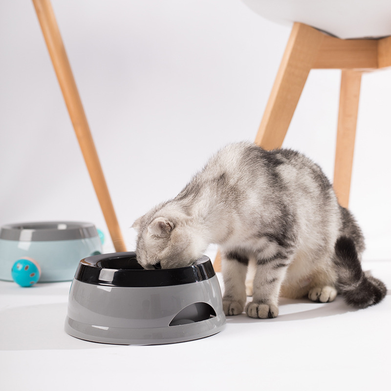 Pet Dog Bowls Floating Not Wet - đánh giá và giá Travel Accessories For Dogs