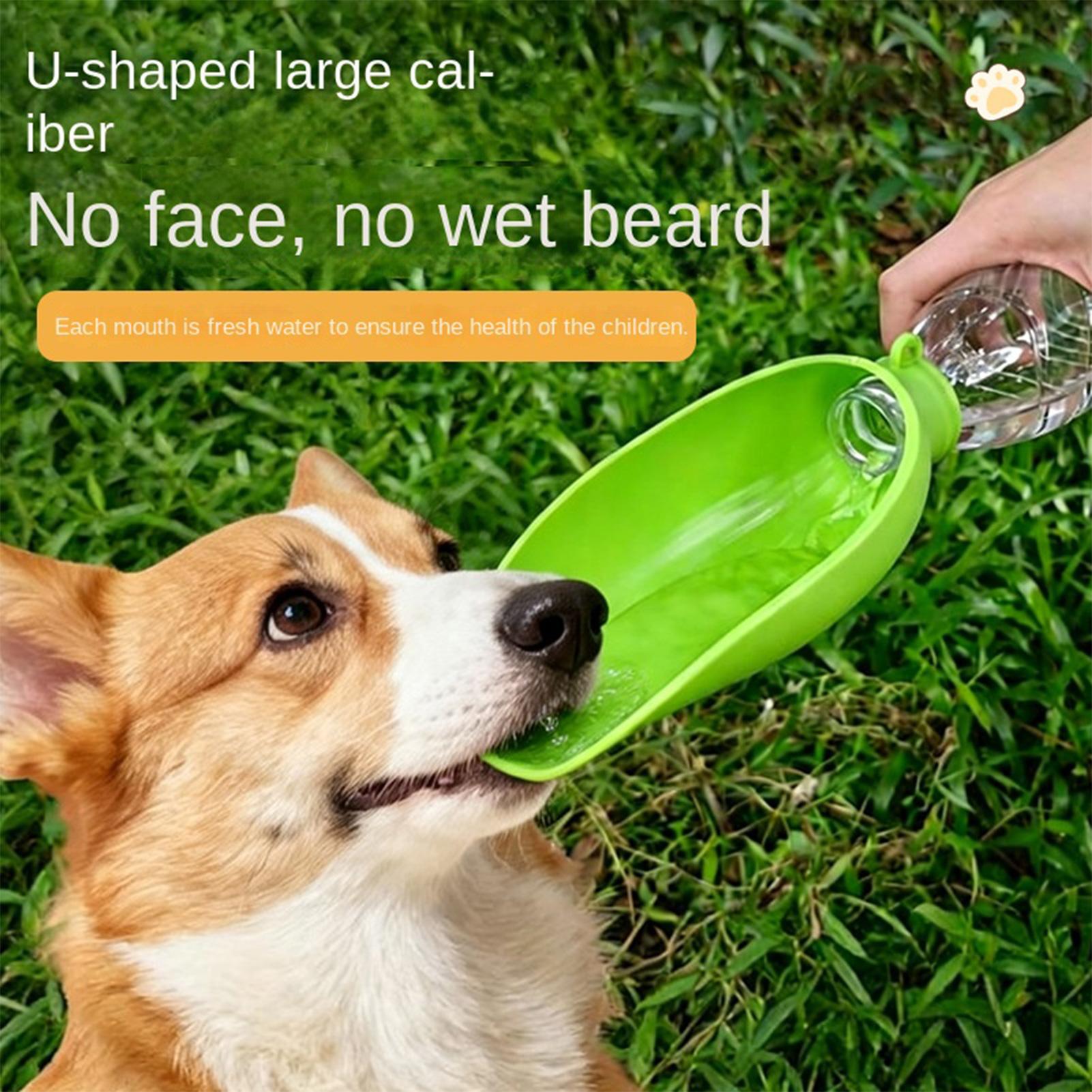Dog Travel Water Bowl Silicone - đánh giá và giá Travel Accessories For Dogs