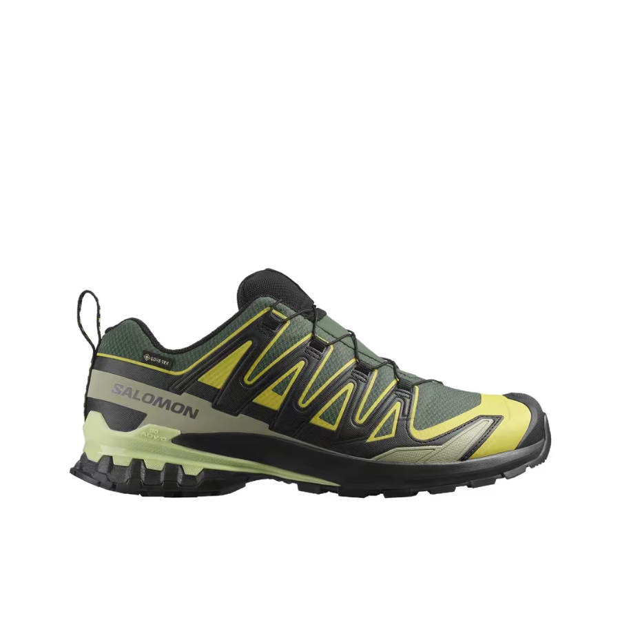 Salomon XA Pro 3D V9 GTX: Retr - đánh giá và giá Salomon Shoes Xa Pro 3D