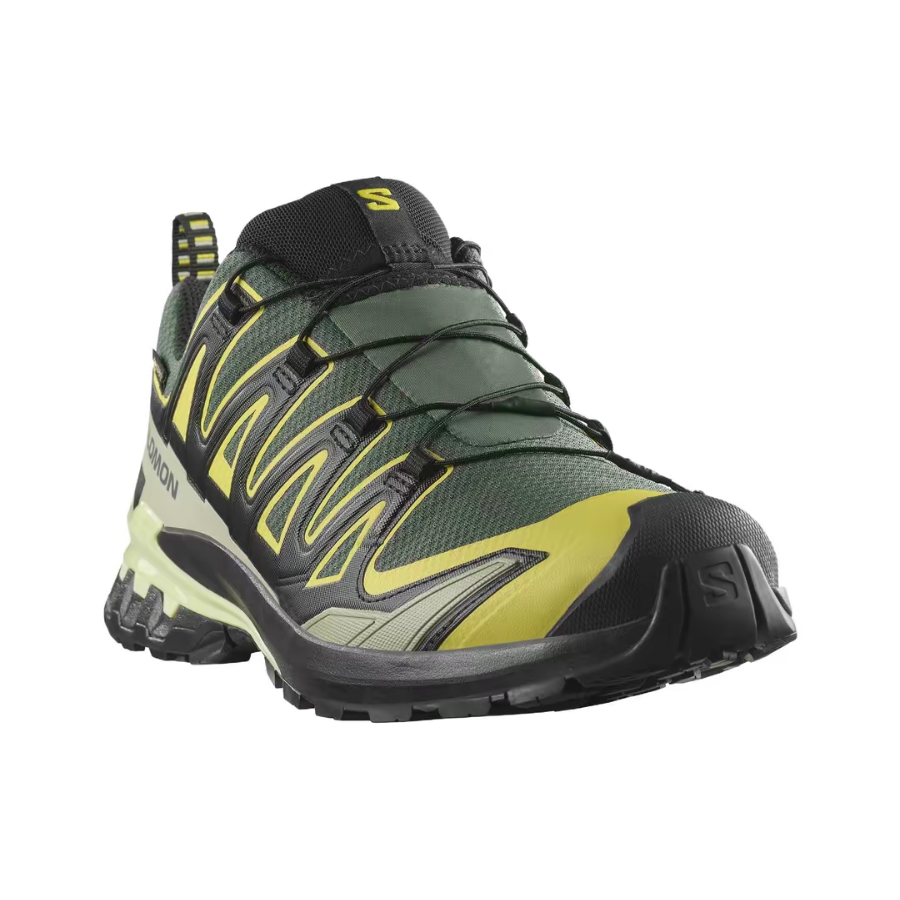 Salomon XA Pro 3D V9 GTX: Retr - đánh giá và giá Salomon Shoes Xa Pro 3D