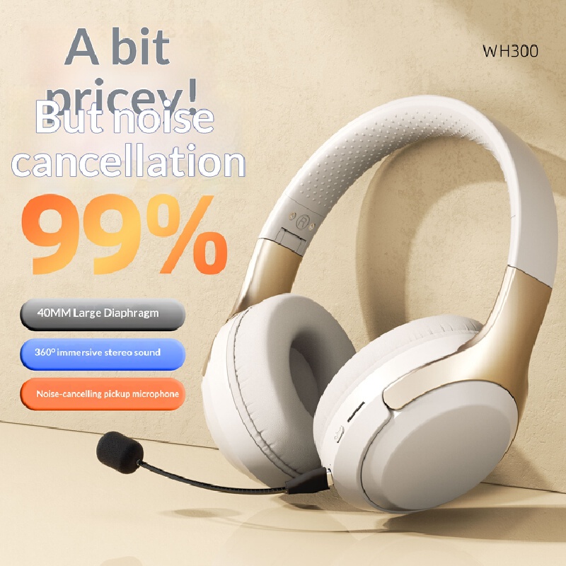 Over Ear Wireless Bluetooth He - đánh giá và giá Travel Accessories Officeworks