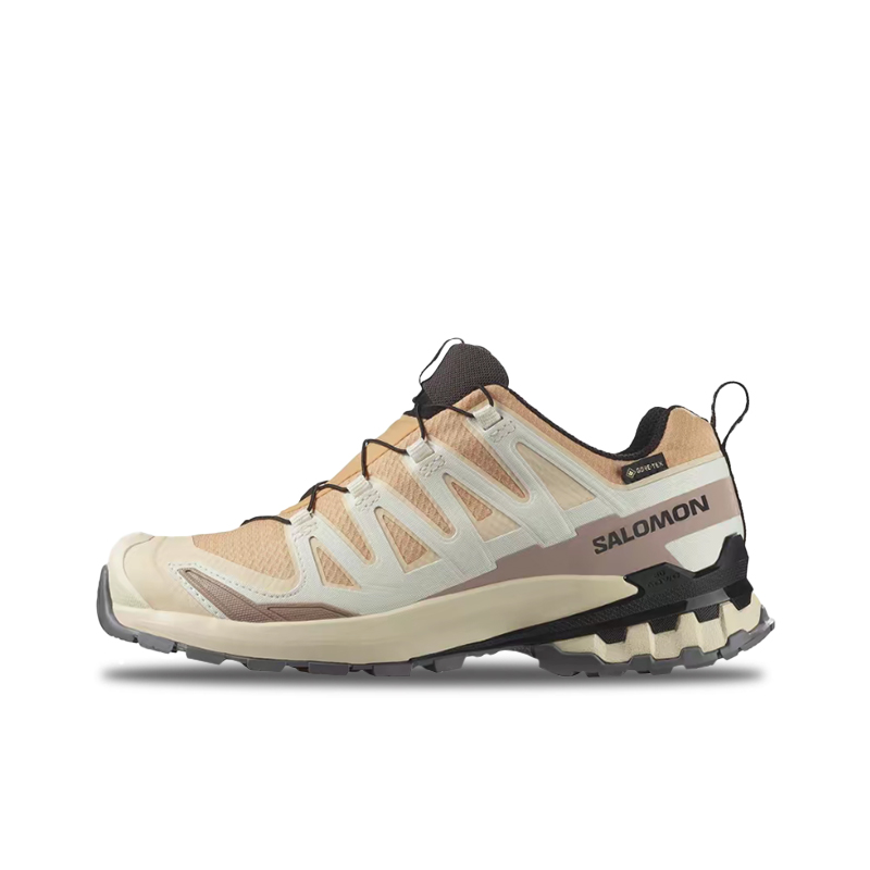 Salomon XA Pro 3D V9 GTX: A lo - đánh giá và giá Salomon Shoes Xa Pro 3D