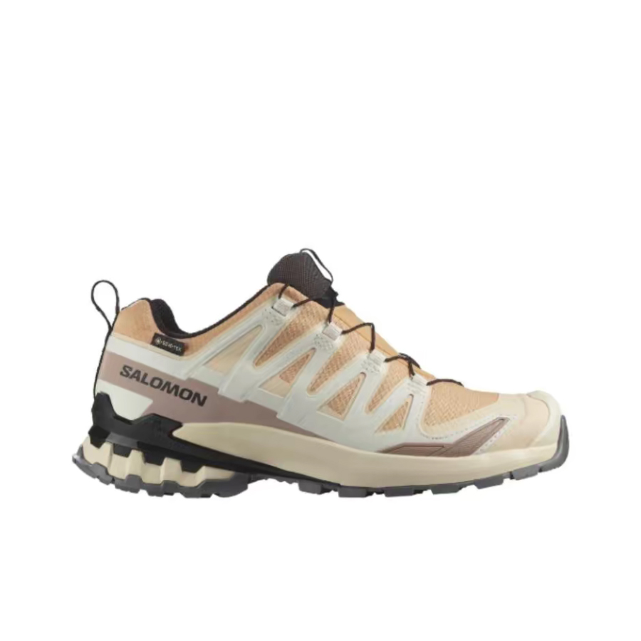 Salomon XA Pro 3D V9 GTX: A lo - đánh giá và giá Salomon Shoes Xa Pro 3D