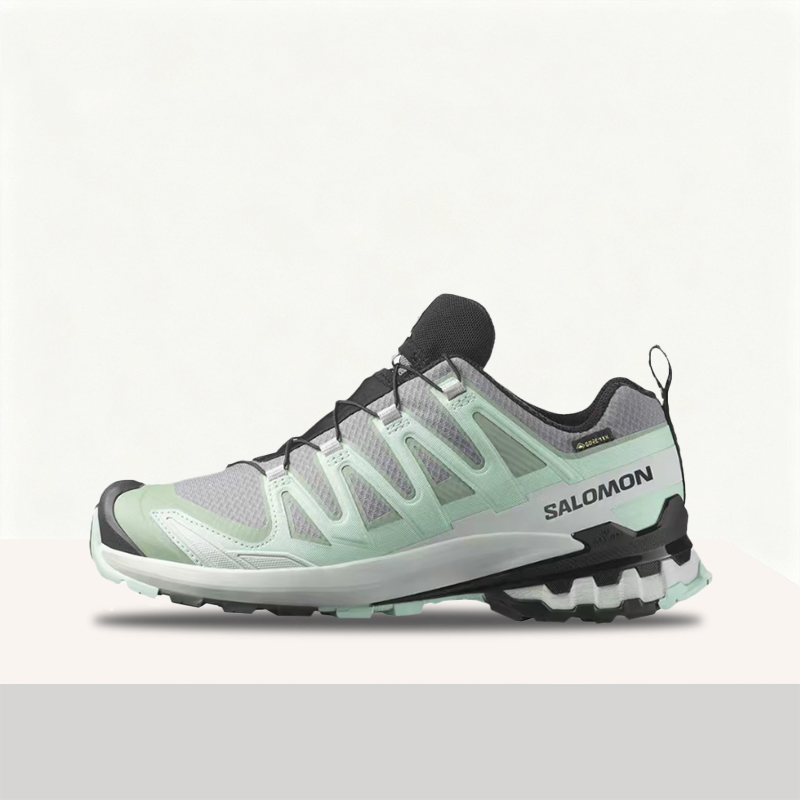 Salomon XA Pro 3D V9 GTX: Styl - đánh giá và giá Salomon Shoes Xa Pro 3D